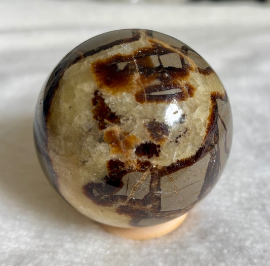 Septarie Sphäre S6