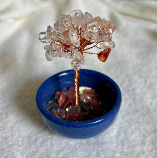 Geldbäumchen 3